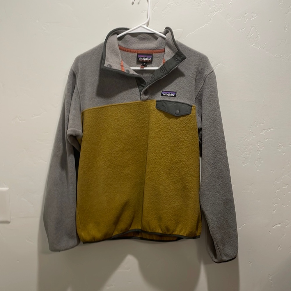 Patagonia synchilla